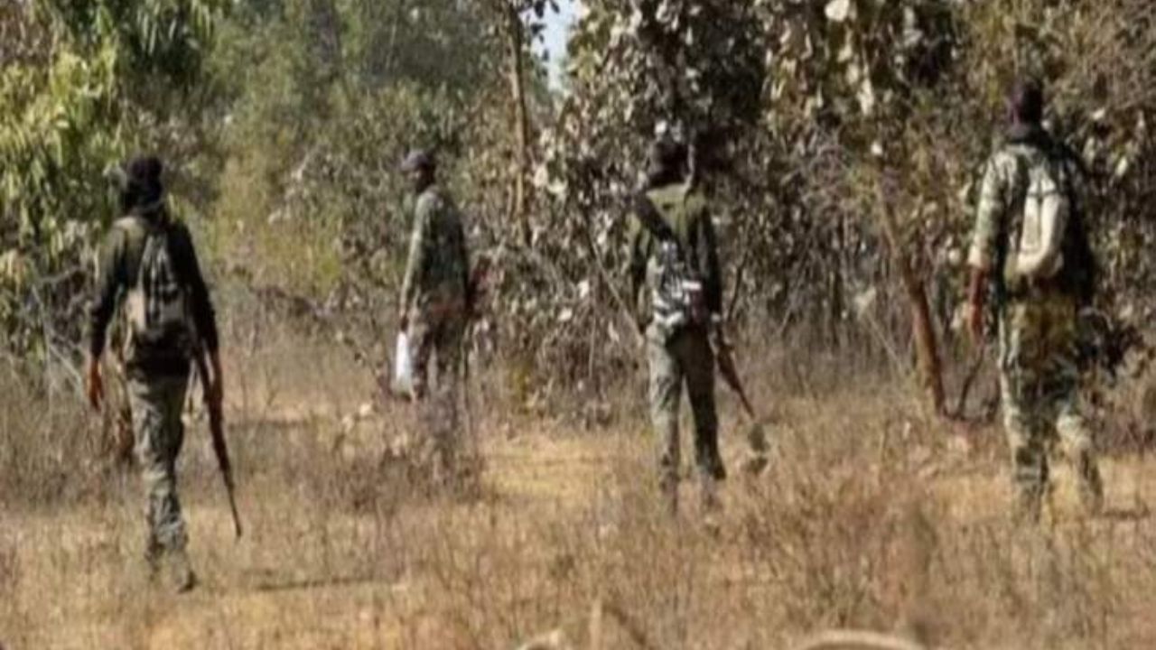 Chhattisgarh News: नेशनल पार्क में गूंजीं गोलियां, सुरक्षाबलों ने मार गिराया नक्सलियों का खतरनाक स्नाइपर